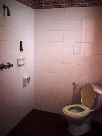 Ollie Coupon Codes 2026: Get 51% Off- Verified Discount